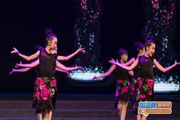 芭菲尔舞蹈加盟费