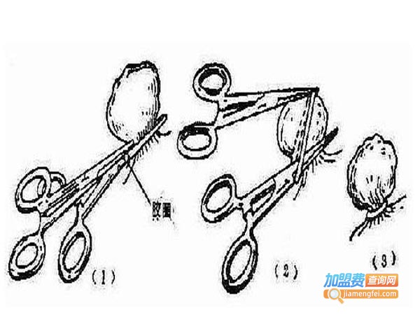 医学教育网加盟费
