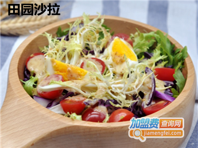 田园沙拉加盟费