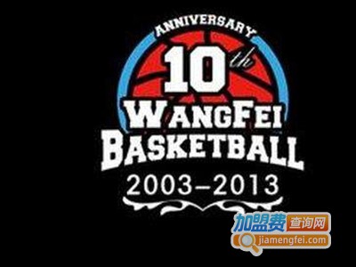 王飞篮球训练营加盟费