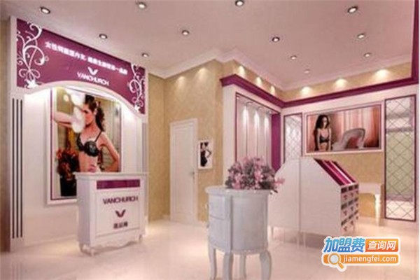 范丘琦减肥加盟费