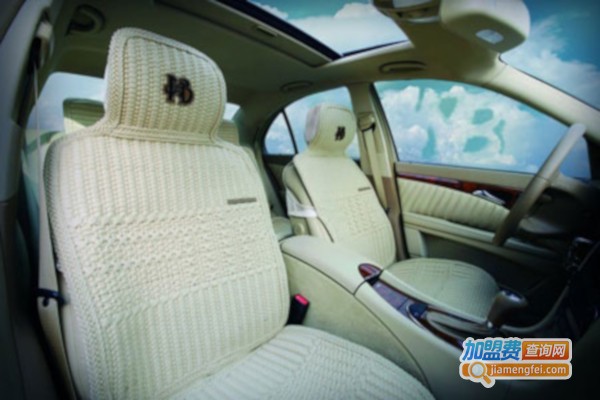 护车宝汽车用品加盟店