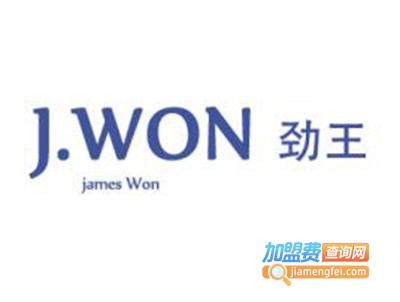 劲王休闲鞋