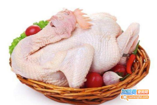 阿海记生鲜鸡加盟费