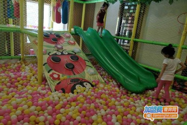 小花朵儿童乐园加盟费