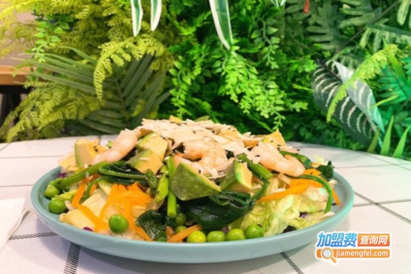 兔窝沙拉轻食加盟店