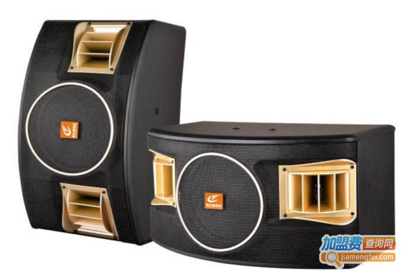 力宝克音响设备加盟店