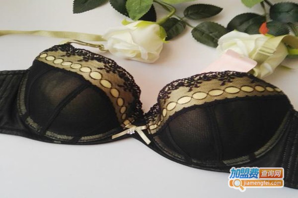 桑扶兰文胸加盟费