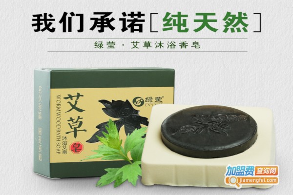 绿莹艾草加盟费