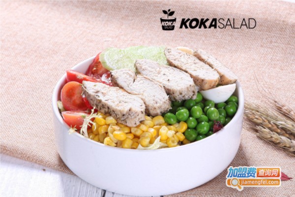 KOKA SALAD轻食沙拉加盟费