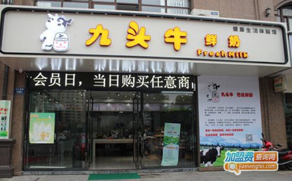 九头牛鲜奶