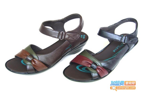 金贵鸟鞋业加盟费