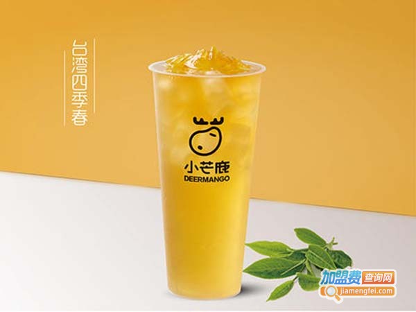 小芒鹿奶茶加盟费