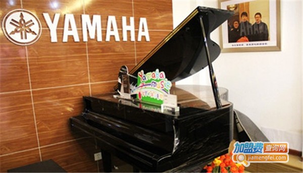 天歌琴行加盟费