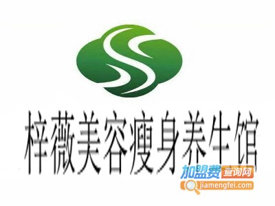 梓薇美容瘦身养生馆加盟费