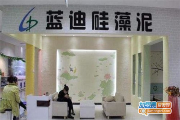 蓝迪盛世硅藻泥