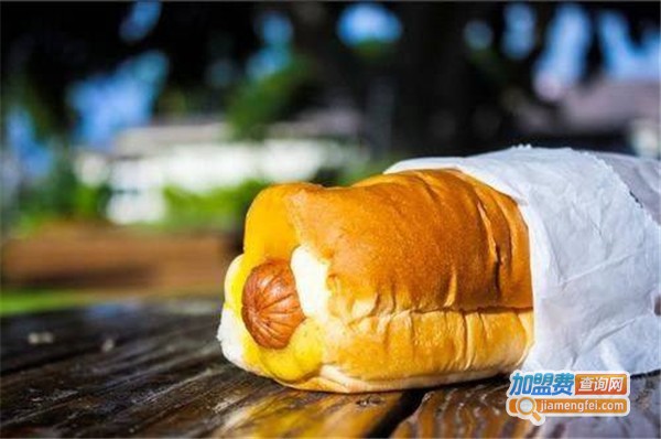 水柠檬、嗨热狗加盟费