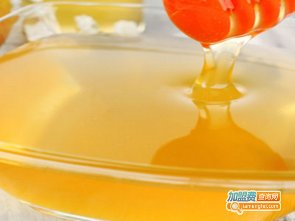 连城山蜂蜜加盟费