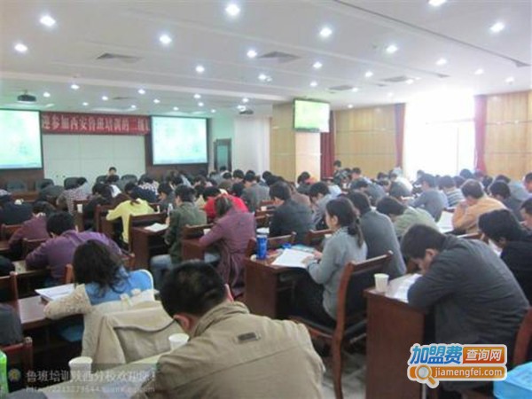 鲁班教育加盟费