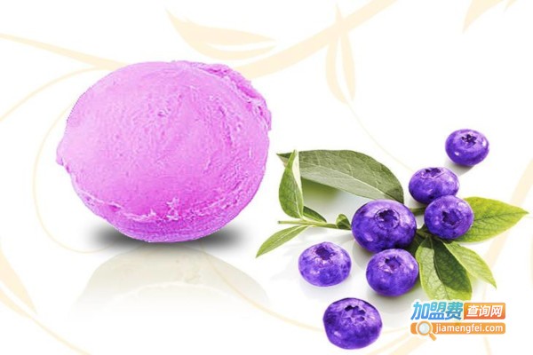 爱思薇尔冰淇淋加盟费