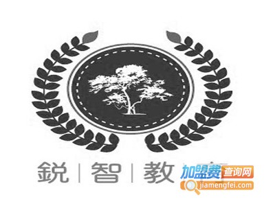 锐智教育加盟费