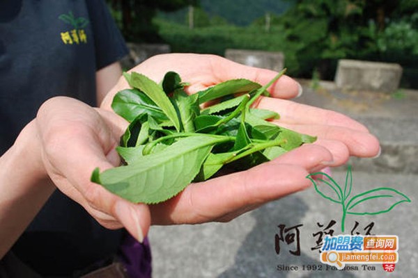 阿华师茶叶加盟费