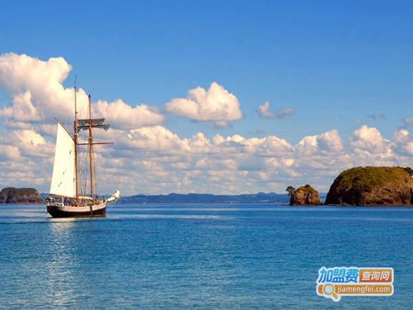 复强教育加盟费