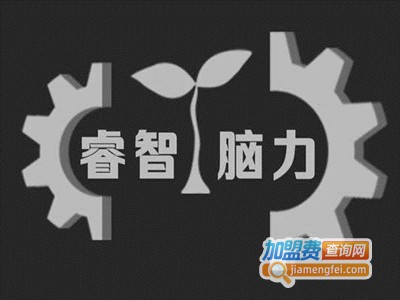 睿智脑力加盟费