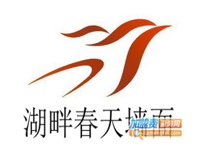 湖畔春天墙面加盟费