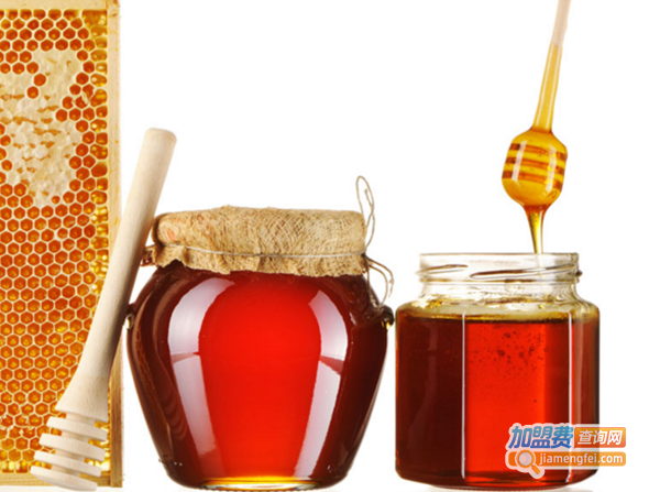 连城山蜂蜜加盟费