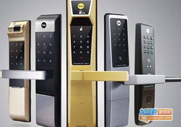 丁丁掌门加盟费