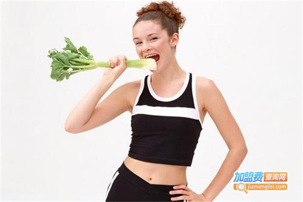 红番茄减肥加盟费