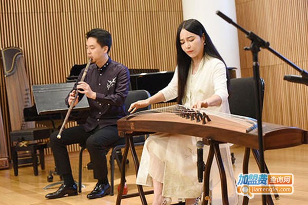 袁莎古筝加盟门店