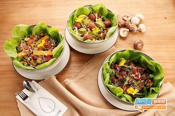 SaladGarden沙拉花园加盟费