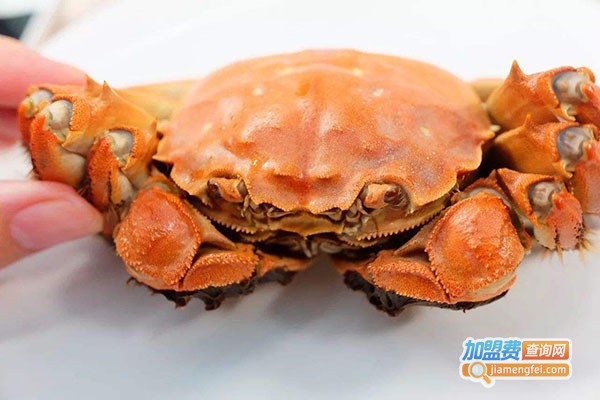 蟹叫叫阳澄湖大闸蟹加盟门店