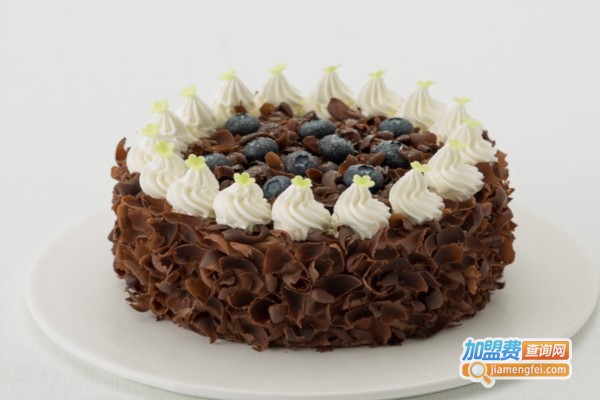 爱至型diy蛋糕加盟店