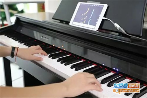 堡兰迪斯智能钢琴加盟费