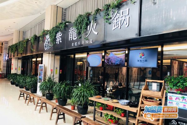 紫龍火锅加盟门店