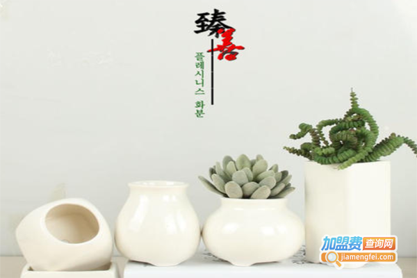 臻善陶瓷日用品加盟费