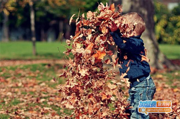 爱科行教育加盟费