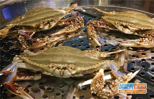 蒸会拼海鲜火锅加盟费