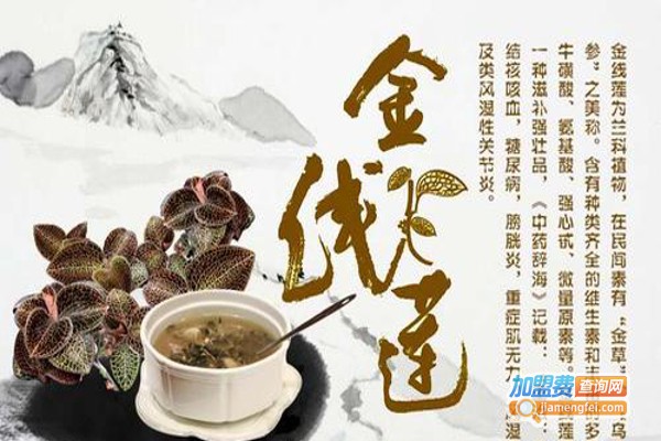 金线莲茶加盟费