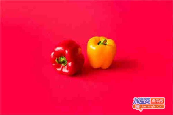 禾泽蔬菜速冻食品加盟费