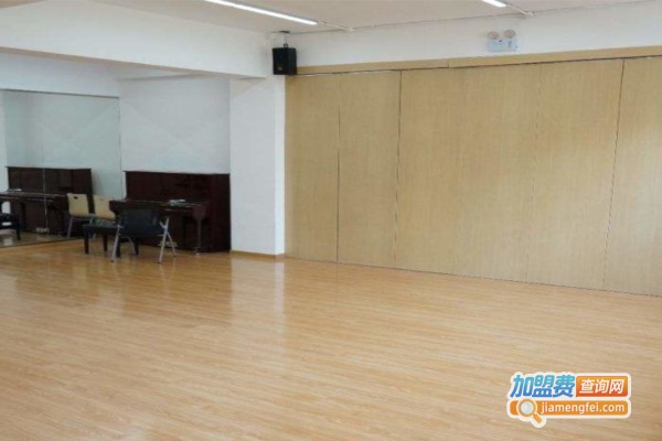 华亚先锋艺术培训加盟