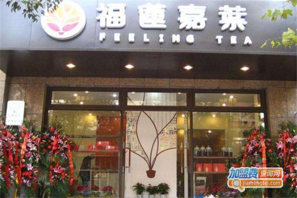 福莲嘉叶加盟费