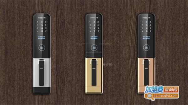 安保龙指纹锁加盟费