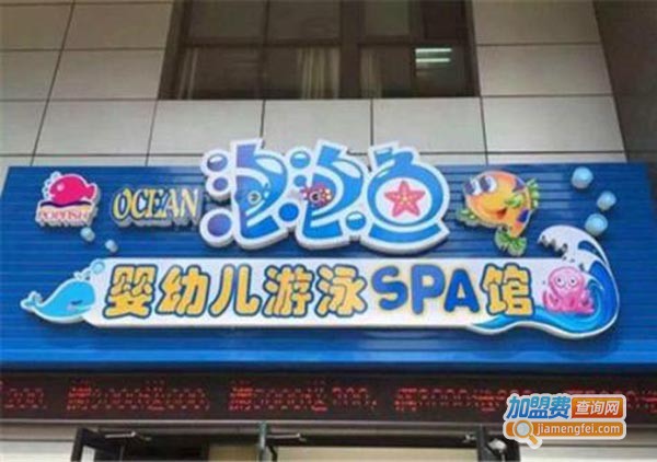 泡泡鱼亲子游泳馆加盟费