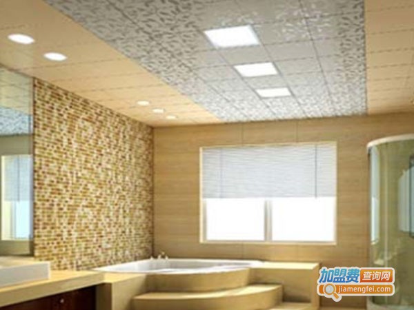 迪百斯涂料加盟费