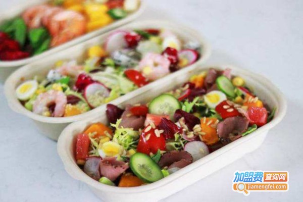 新伊吉轻食料理加盟费