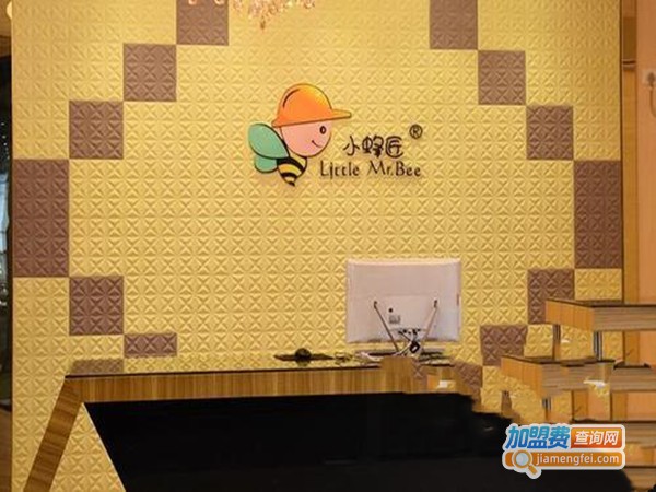 小蜂匠硅藻泥加盟门店